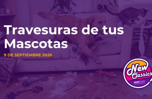 Travesuras de tus mascotas